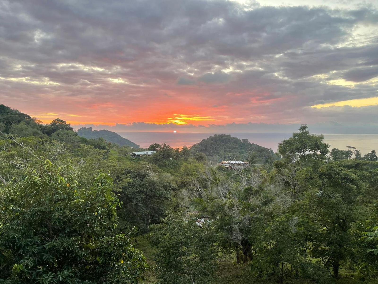 Pura Natura Lodge Manuel Antonio Buitenkant foto