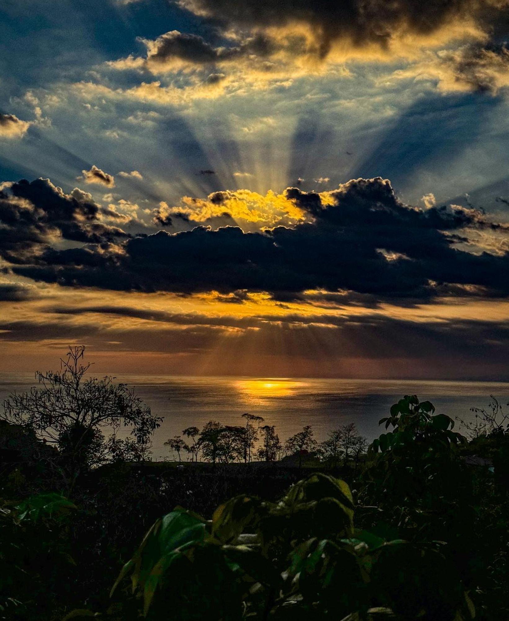 Pura Natura Lodge Manuel Antonio Buitenkant foto