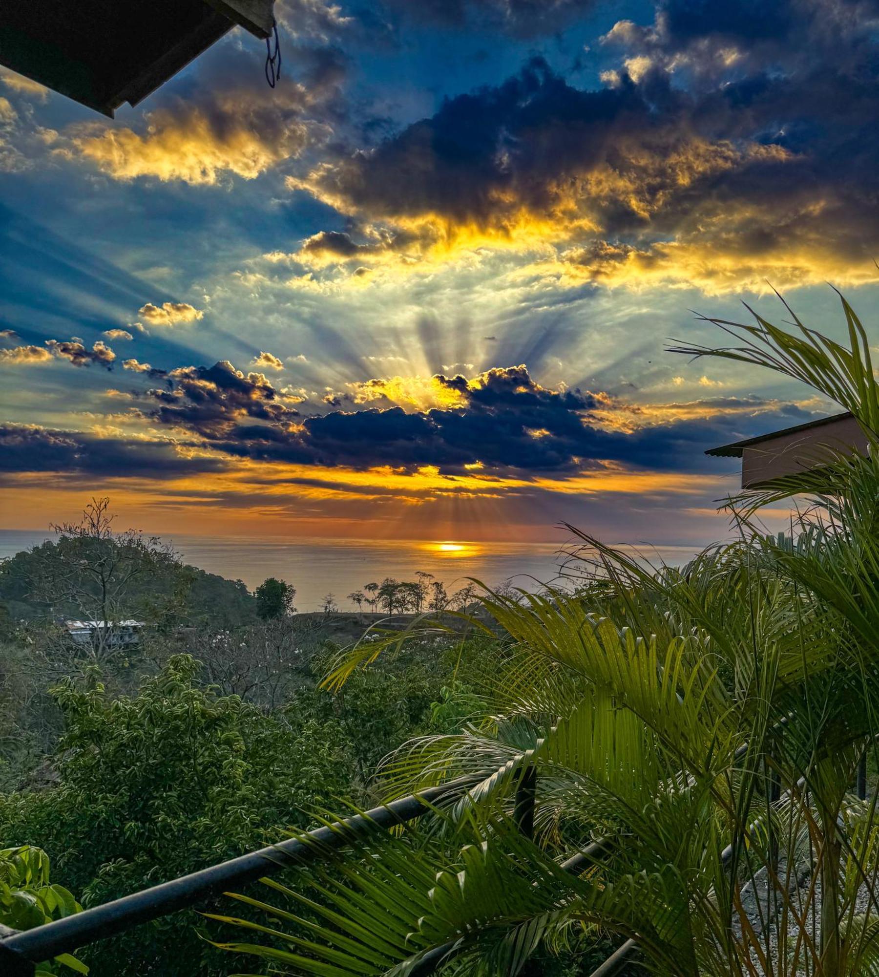 Pura Natura Lodge Manuel Antonio Buitenkant foto